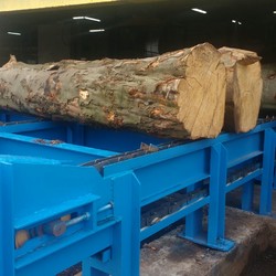 Transportery do kłód i tarcicy